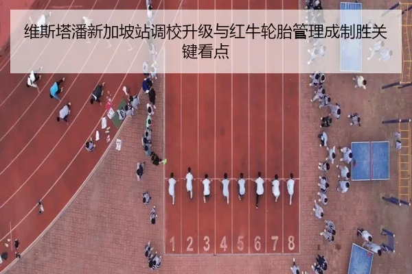 维斯塔潘新加坡站调校升级与红牛轮胎管理成制胜关键看点